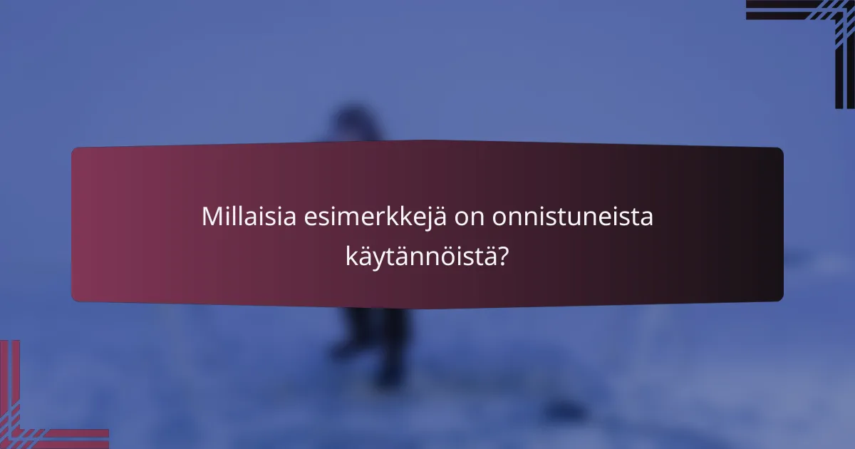 Millaisia esimerkkejä on onnistuneista käytännöistä?