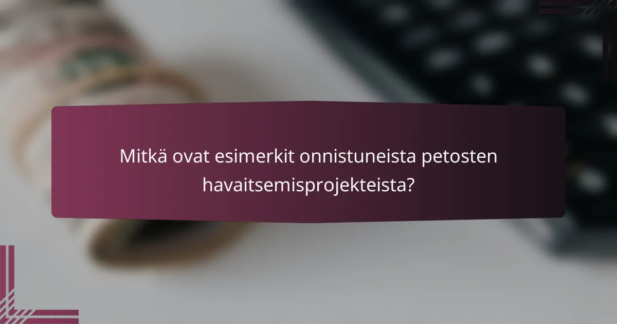 Mitkä ovat esimerkit onnistuneista petosten havaitsemisprojekteista?